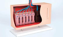 群里卡密便宜的网页攻击软件